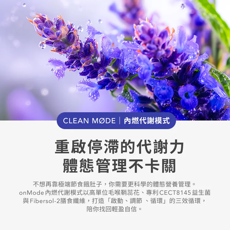 蛋白粉安排使用顺序配图