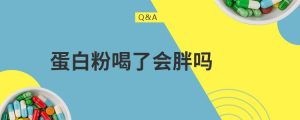 无糖蛋白粉和无添加糖蛋白粉有什么区别